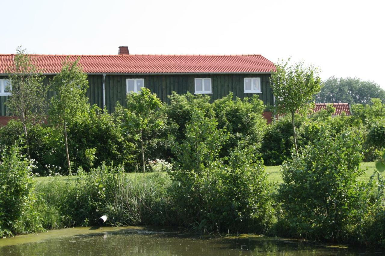 " Haus Zwischen Den Meeren " Strubbel Dış mekan fotoğraf