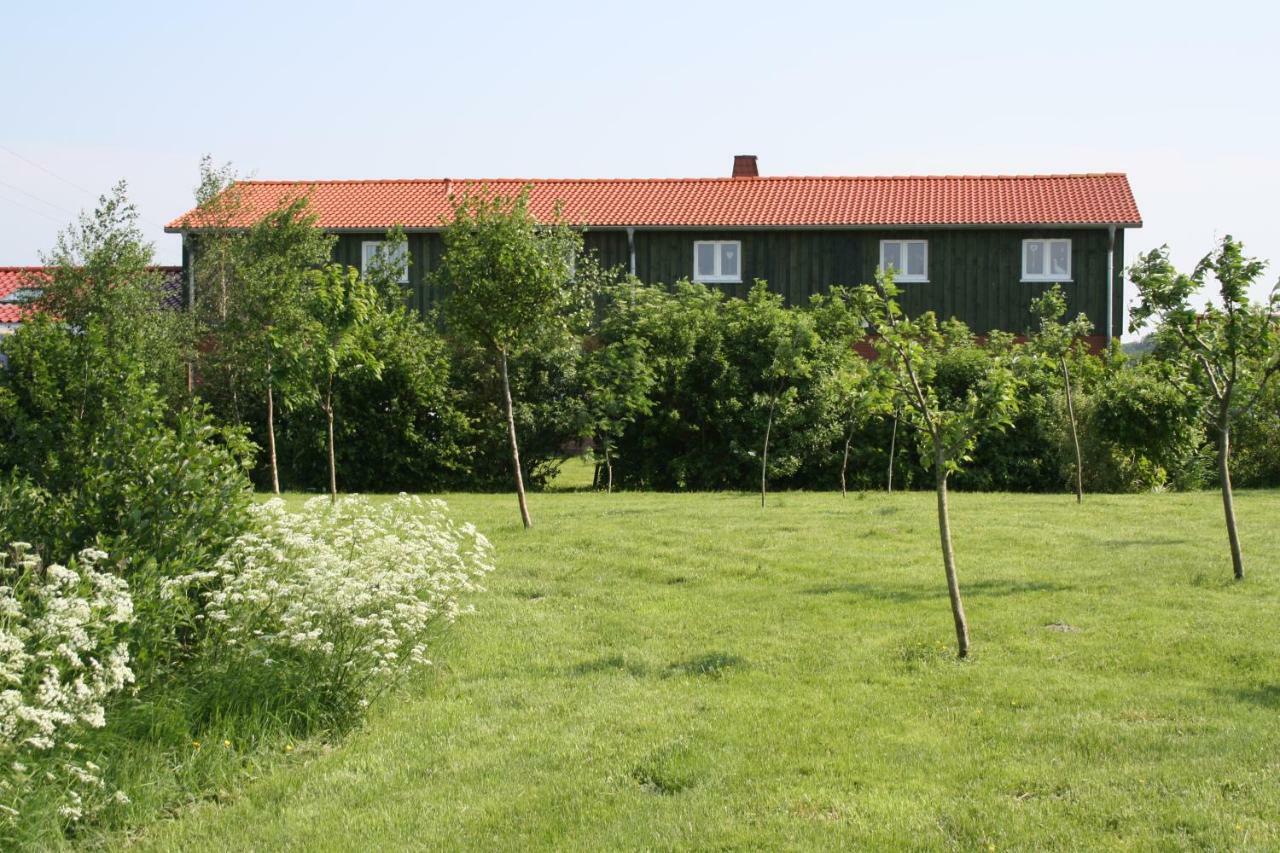 " Haus Zwischen Den Meeren " Strubbel Dış mekan fotoğraf